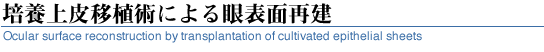 培養上皮移植術による眼表面再建