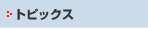 年度別トピックス
