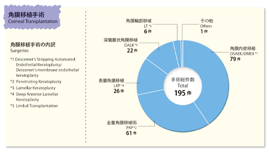 角膜移植手術の内訳 (Corneal transplantation)