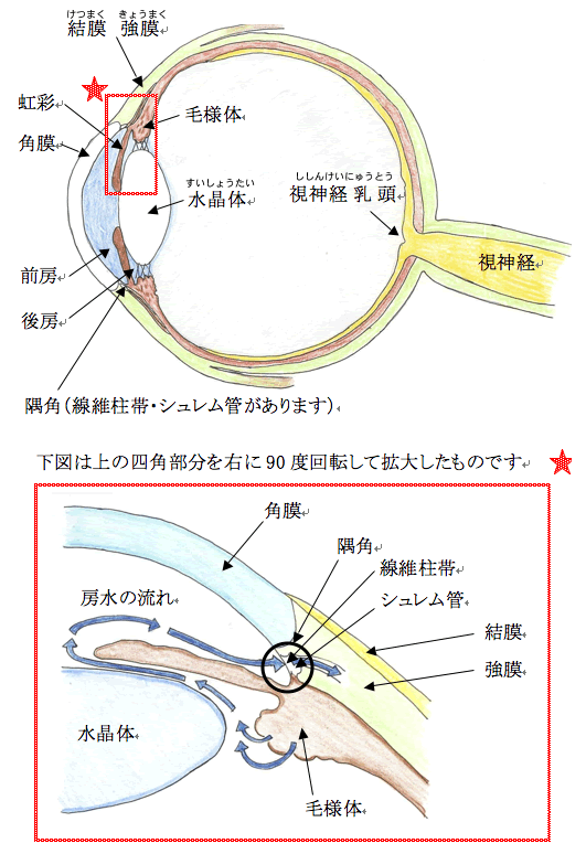 緑内障とは